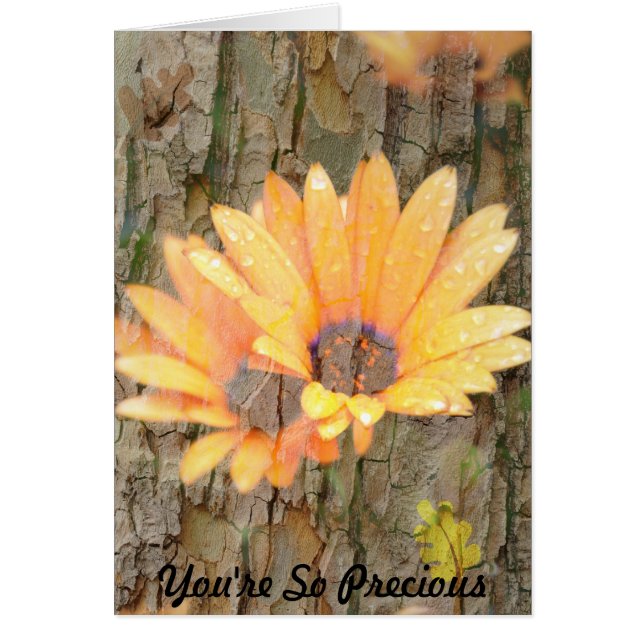 黄色い花の大切樹皮 (正面)