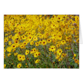 黄色い花の明るい畑