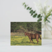 黄色い花の栗 ポストカード (スタンド正面)