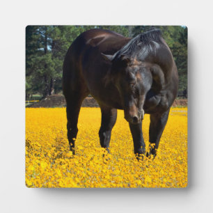 黄色い花の畑に入った木馬 フォトプラーク