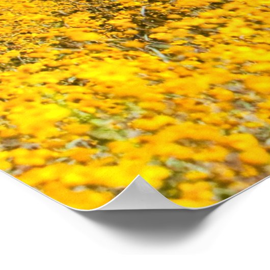 黄色い花の畑に入った木馬 ポスター (角)