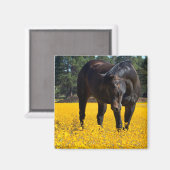 黄色い花の畑に入った木馬 マグネット (正面/裏面)