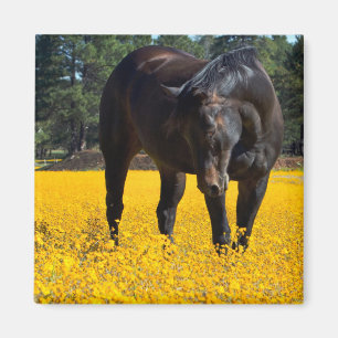 黄色い花の畑に入った木馬 マグネット