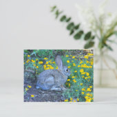 黄色い花の野生のうさぎ ポストカード (スタンド正面)