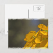 黄色い花はがき ポストカード (正面/裏面)