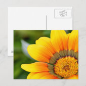 黄色い花はがき ポストカード (正面/裏面)
