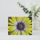 黄色い花はがき ポストカード (スタンド正面)