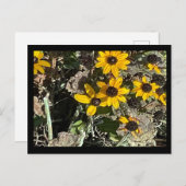 黄色い花はがき(黒縁ど付) ポストカード (正面/裏面)