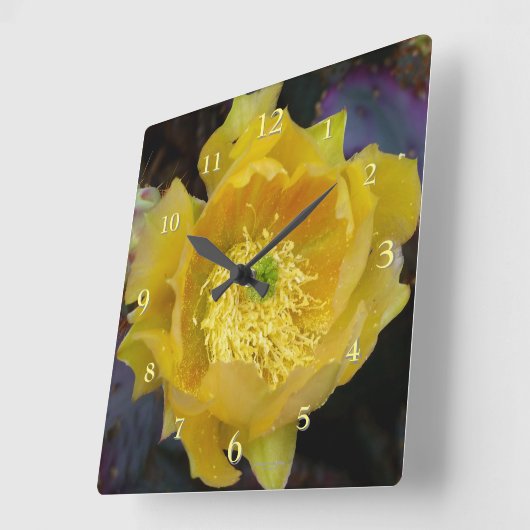 黄色い花をつける紫のとげのあるナシサボテン スクエア壁時計 (傾斜)