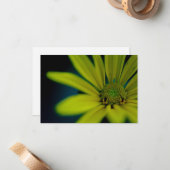 黄色い花をクローズアップ ノートカード (正面/裏面インサイチュ)