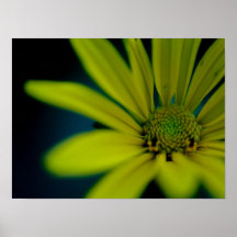 黄色い花をクローズアップ