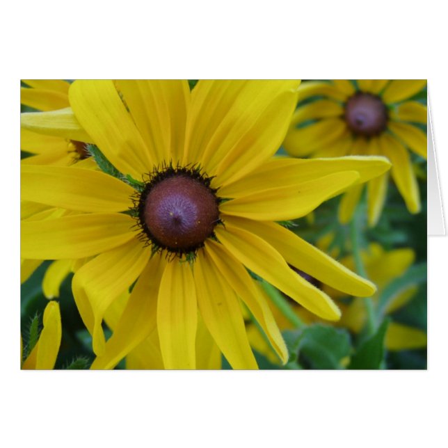 黄色い花カード (正面横)