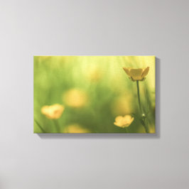 黄色い花バターカップ自然写真 キャンバスプリント