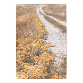 黄色い花並み道路 メタルプリント