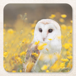 黄色い花分野のメンフクロウ スクエアペーパーコースター