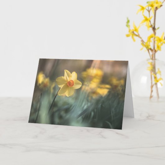 黄色い花水仙の自然写真 カード (黄色い花)