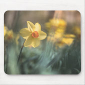 黄色い花水仙の自然写真 マウスパッド (正面)