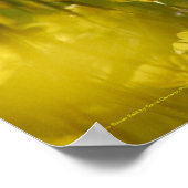 黄色い花畑のポスター ポスター (角)