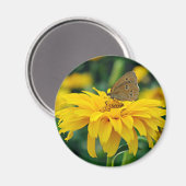 黄色い花磁石に乗った蝶 マグネット (正面/裏面)