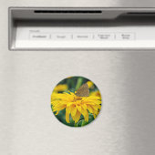 黄色い花磁石に乗った蝶 マグネット (インサイチュ (食洗機))