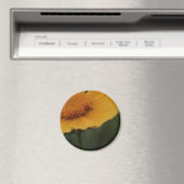 黄色い花磁石 マグネット (インサイチュ (食洗機))