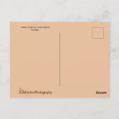 黄色い花飛んでいるに緑のハミングバード ポストカード (裏面)