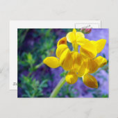 黄色い花2 ポストカード (正面/裏面)