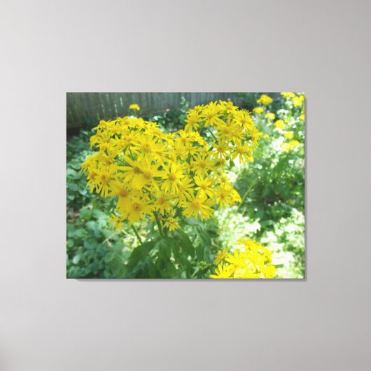 黄色い花 キャンバスプリント (正面)