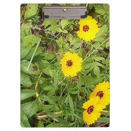 黄色い花 クリップボード