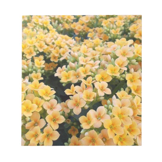 黄色い花 ノートパッド (正面)