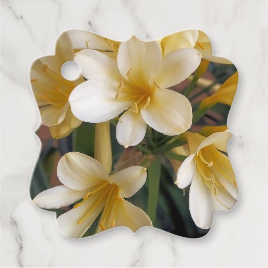 黄色い花 フェイバータグ (正面)