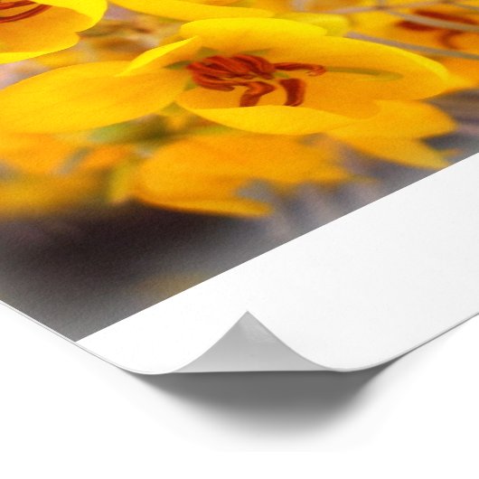 黄色い花 ポスター (角)