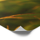 黄色い花 ポスター (角)