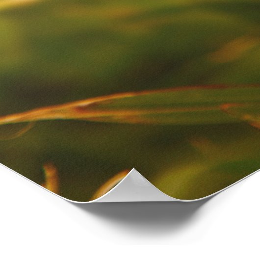 黄色い花 ポスター (角)