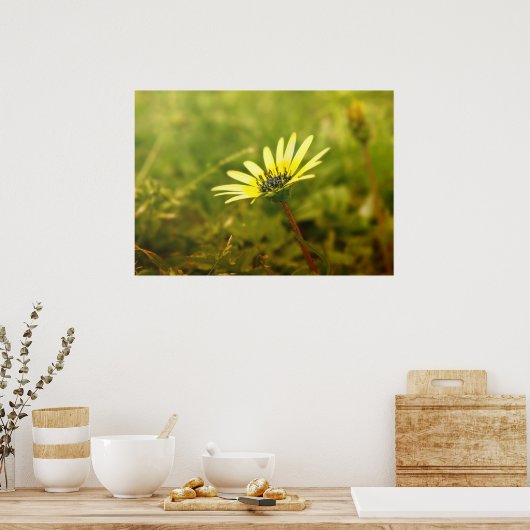 黄色い花 ポスター (キッチン)