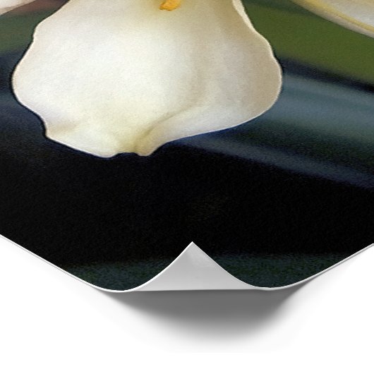 黄色い花 ポスター (角)