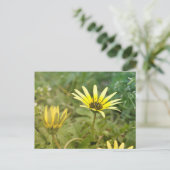 黄色い花 ポストカード (スタンド正面)