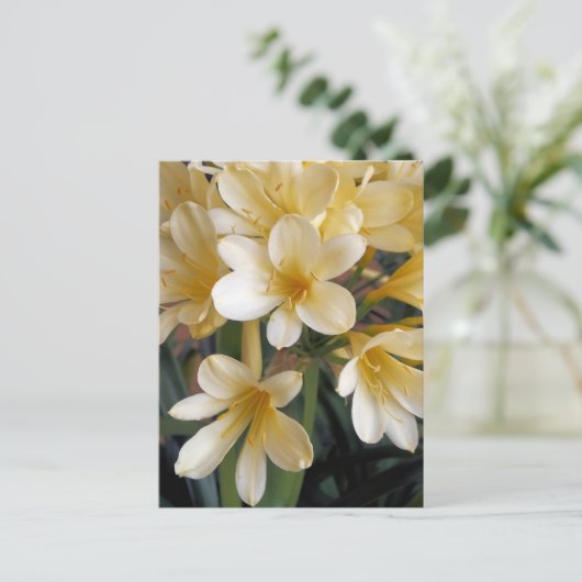 黄色い花 ポストカード (スタンド正面)
