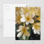 黄色い花 ポストカード (正面/裏面)