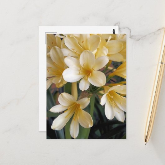 黄色い花 ポストカード (正面/裏面インサイチュ)