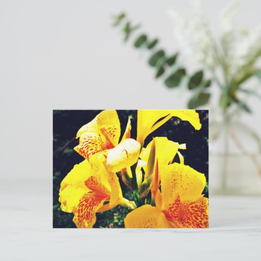 黄色い花 ポストカード (スタンド正面)