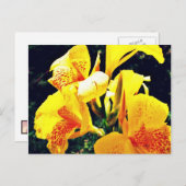 黄色い花 ポストカード (正面/裏面)