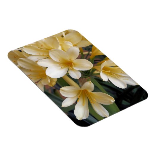 黄色い花 マグネット (右側)