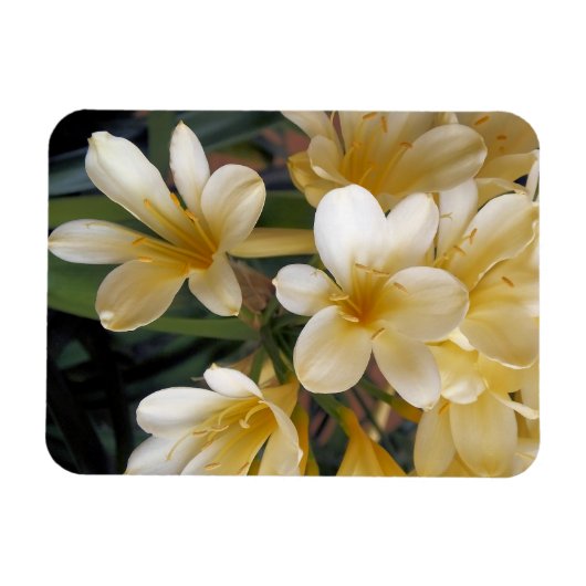 黄色い花 マグネット (横)