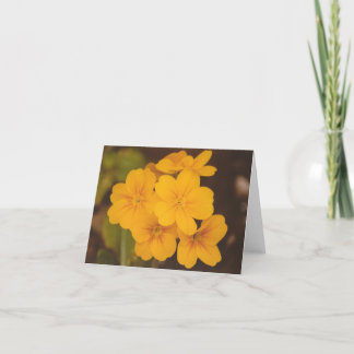 黄色い花Notecard カード