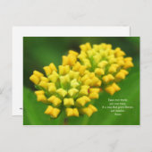 黄色い花Rumi引用文葉書 ポストカード (正面/裏面)
