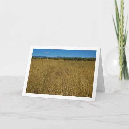 黄色い草の風景 カード (正面)