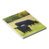 黄色い草原で黒いアンガス牛の放牧 ノートパッド (アングル)