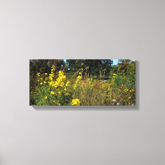 黄色い草原の花の写真 キャンバスプリント (正面)