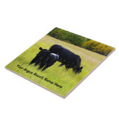 黄色い草地で牧草を食べているアンガスの黒い牛 タイル (側面)